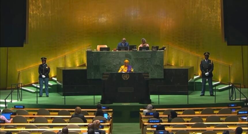 Varios países abogan ante la Asamblea General por la autodeterminación del pueblo saharaui | Sahara Press Service (SPS)