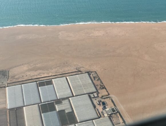 El PP se desmarca del PSOE y pide que la UE excluya el Sáhara del acuerdo comercial con Marruecos