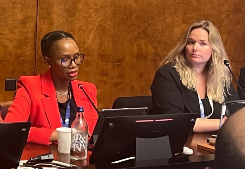 Denuncian en Ginebra detención arbitraria de presos políticos saharauis  | Sahara Press Service (SPS)