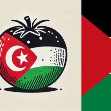 tomatesahara SIGNEZ ! La tomate du Sahara occidental : un scandale environnemental, social et colonial -Tomate sahraouie