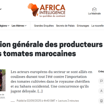 wertyhujkl Agricultores europeos denuncian la invasión de tomates ilegales procedentes del Sáhara Occidental ocupado