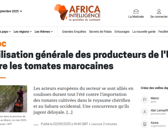 wertyhujkl Agricultores europeos denuncian la invasión de tomates ilegales procedentes del Sáhara Occidental ocupado