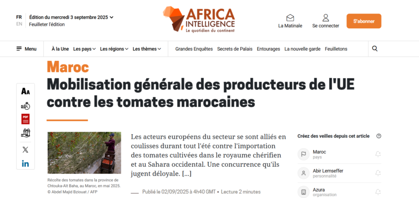 Agricultores europeos denuncian la invasión de tomates ilegales procedentes del Sáhara Occidental ocupado