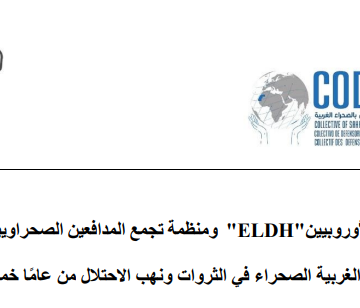 50 años de ocupación y expolio del Sáhara Occidental: CODESA y ELDH llaman a la movilización urgente para que se ponga fin a medio siglo de impunidad