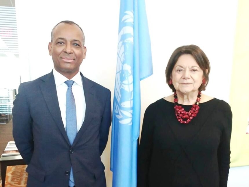 Delegado del Frente POLISARIO en la ONU se reúne con la vicesecretaria general de las Naciones Unidas | Sahara Press Service (SPS)