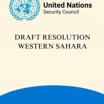 UN Security Council: Last-minute deal on a final text, but divisions remain (30/10/2025)