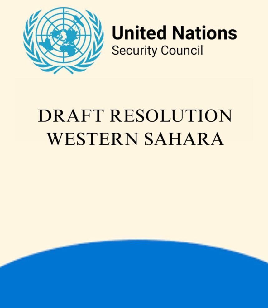 Consejo de Seguridad de la ONU: acuerdo in extremis sobre un texto final, pero persisten las divisiones (30/10/25)