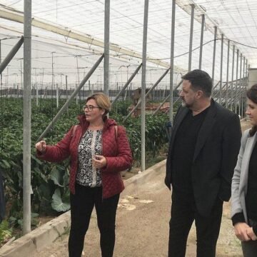 5ed5ee3a-7f53-47eb-8b77-7791ce6d3676_facebook-aspect-ratio_default_0 IU Almería sobre el acuerdo UE-Marruecos: «Eso no es comercio, es deslealtad institucional» – Diario de Almería