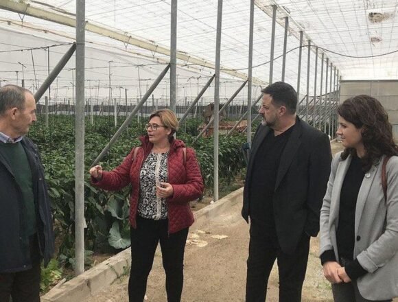 IU Almería sobre el acuerdo UE-Marruecos: «Eso no es comercio, es deslealtad institucional» – Diario de Almería
