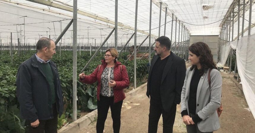 IU Almería sobre el acuerdo UE-Marruecos: «Eso no es comercio, es deslealtad institucional» – Diario de Almería