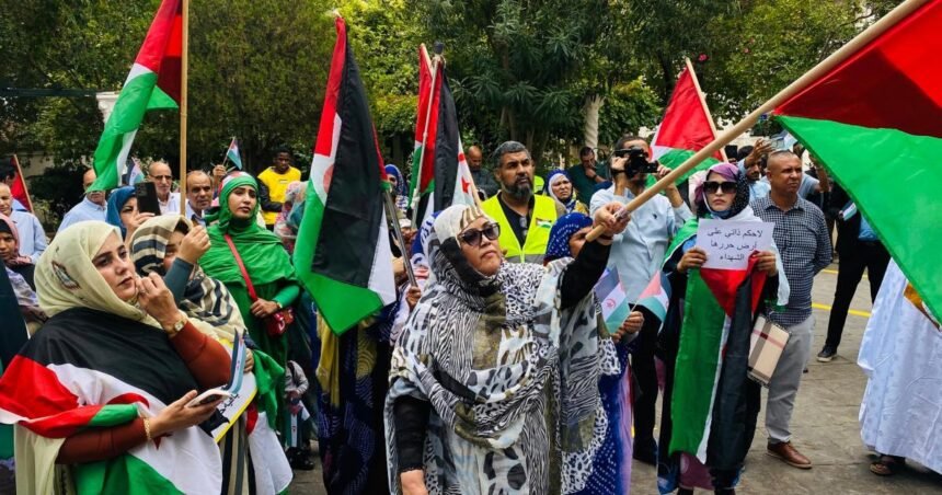 Se celebra concentración en Argelia para condenar los intentos de socavar los derechos del pueblo saharaui