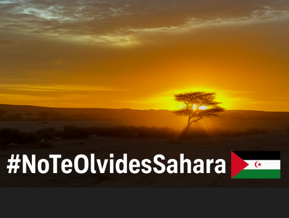 TEMA DEL DÍA | El FRENTE POLISARIO vuelve a poner a Europa frente a su contradicción y rechaza el nuevo acuerdo entre la Unión Europea y Marruecos