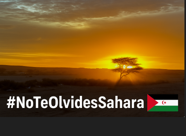 809poñlkjhgf TEMA DEL DÍA | El FRENTE POLISARIO vuelve a poner a Europa frente a su contradicción y rechaza el nuevo acuerdo entre la Unión Europea y Marruecos