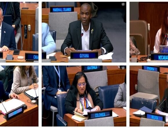 Países de América Latina y el Caribe expresan su apoyo a la causa saharaui en los debates de la Cuarta Comisión de la ONU | Sahara Press Service (SPS)