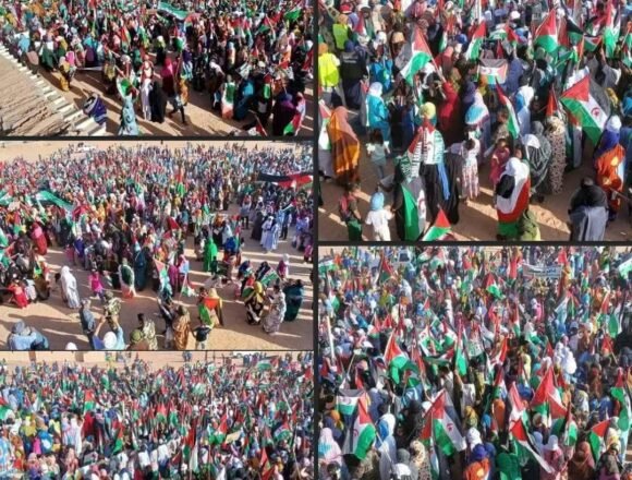 «Antes refugiado que marroquí», claman en la cuarta protesta en los campamentos saharauis