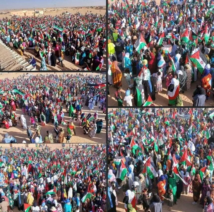 «Antes refugiado que marroquí», claman en la cuarta protesta en los campamentos saharauis