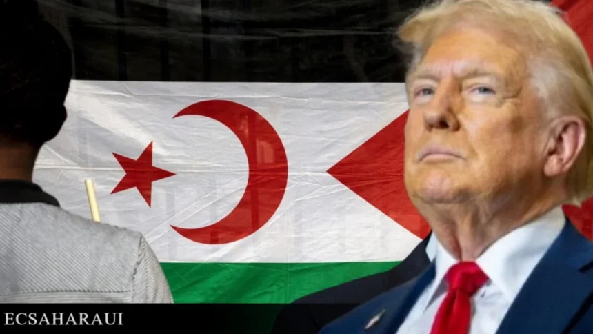 La question du Sahara occidental à l’ONU : un projet américain qui viole le droit international et vise à liquider l’autodétermination du peuple sahraoui