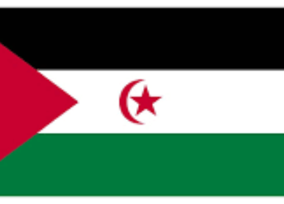 Western-Sahara Sáhara Occidental: cincuenta años de ocupación y resistencia – World Organisation Against Torture (OMCT)
