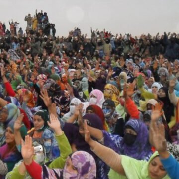 Gdeim Izik, quinze anys després: quan Europa va callar davant la dignitat sahrauí | ACAPS Catalunya