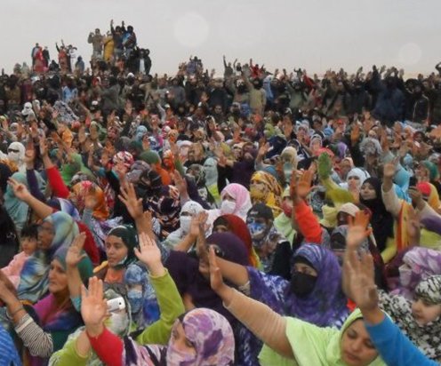 destacado_gdeim_izik Gdeim Izik, quinze anys després: quan Europa va callar davant la dignitat sahrauí | ACAPS Catalunya