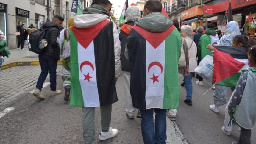 Exteriores bloquea los visados a familiares de españoles con origen saharaui – EL INDEPENDIENTE