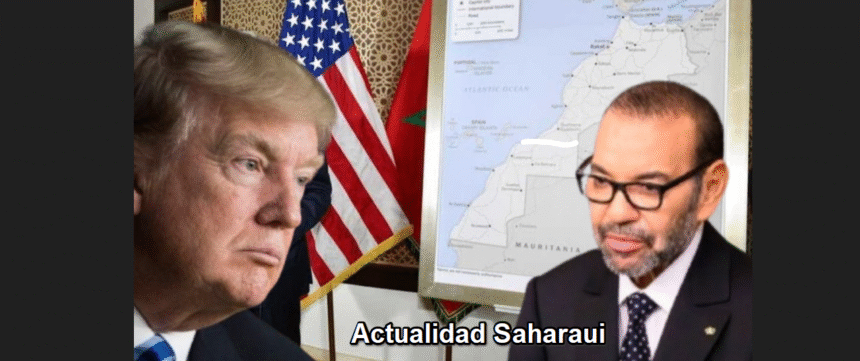 sdfgvfewedfgerf Noticias del SAHARA OCCIDENTAL – 29/10/2025 – La Actualidad Saharaui
