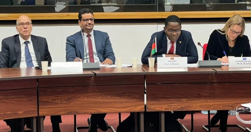 La República Saharaui participa en el IX Diálogo Político de Alto Nivel UE-UA sobre Ciencia, Tecnología e Innovación | Sahara Press Service (SPS)