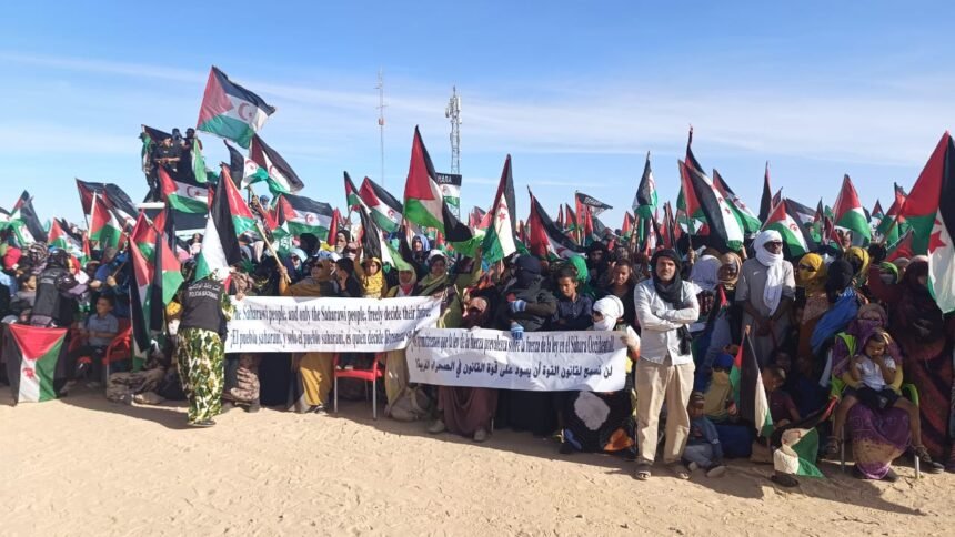 El pueblo saharaui les recuerda a sus enemigos que lo que no pudo lograr con la ocupación y la  guerra, es difícil que lo logren unos textos insustanciales y contradictorios | Sahara Press Service (SPS)