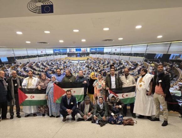 1000533043 Periodistas saharauis abordan la situación del Sáhara en el Parlamento Europeo