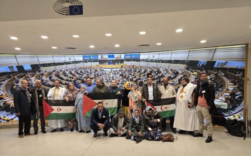 1000533043 Periodistas saharauis abordan la situación del Sáhara en el Parlamento Europeo