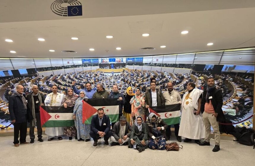 1000533043 Periodistas saharauis abordan la situación del Sáhara en el Parlamento Europeo