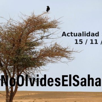 Noticias del SAHARA OCCIDENTAL – 15/11/2025 – La Actualidad Saharaui