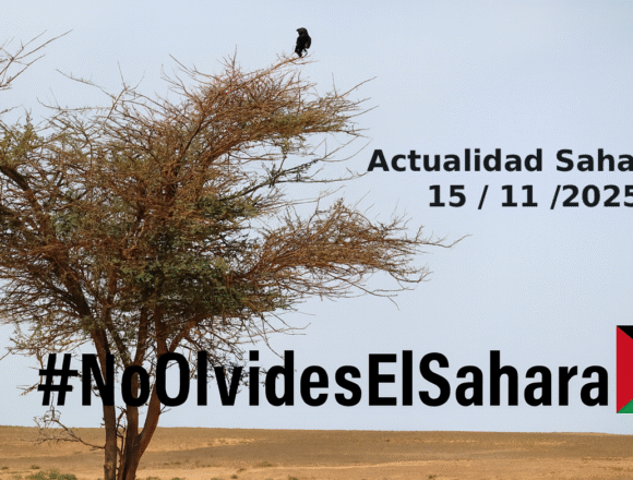Noticias del SAHARA OCCIDENTAL – 15/11/2025 – La Actualidad Saharaui