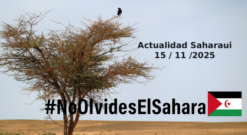 2025, 10_04_30 Noticias del SAHARA OCCIDENTAL – 15/11/2025 – La Actualidad Saharaui