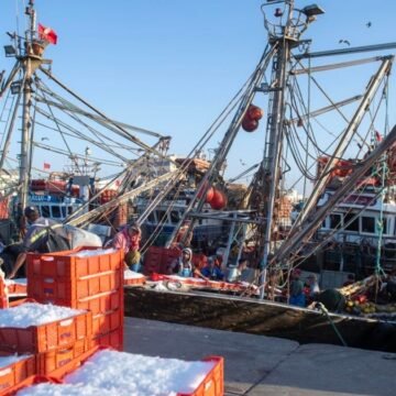 2eb5db0cd12e4101494c06001d741dbfbcfc3fa3w-1200x675-1 La Comisión Europea abre la puerta a negociar un nuevo acuerdo pesquero con Marruecos pese al revés judicial por el Sáhara