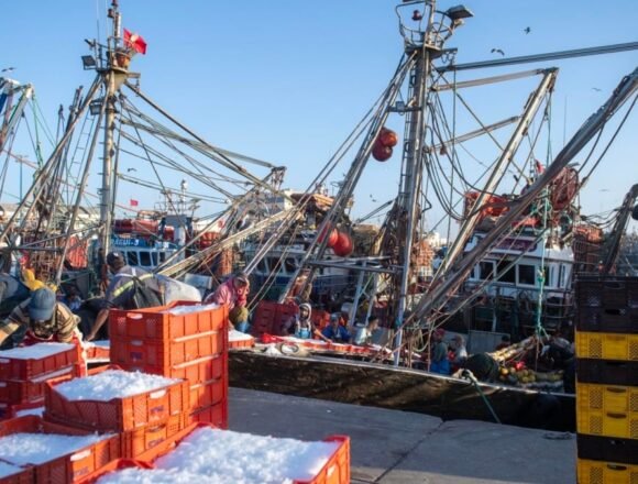 2eb5db0cd12e4101494c06001d741dbfbcfc3fa3w-1200x675-1 La Comisión Europea abre la puerta a negociar un nuevo acuerdo pesquero con Marruecos pese al revés judicial por el Sáhara