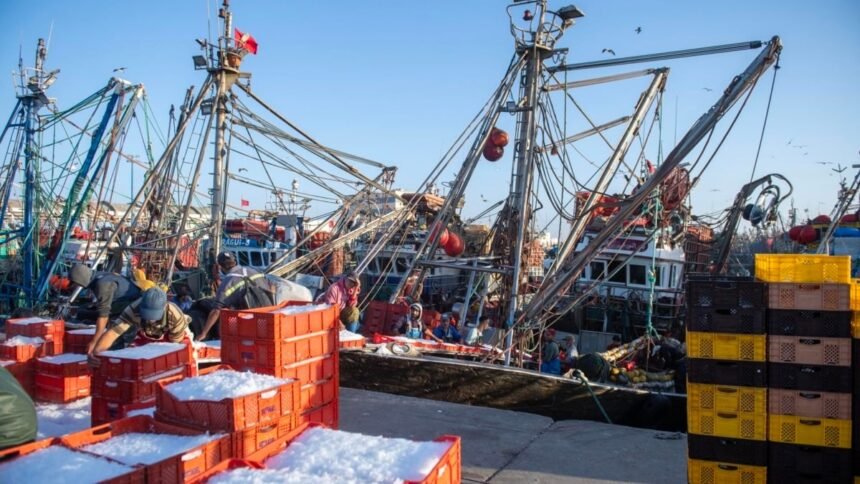 2eb5db0cd12e4101494c06001d741dbfbcfc3fa3w-1200x675-1 La Comisión Europea abre la puerta a negociar un nuevo acuerdo pesquero con Marruecos pese al revés judicial por el Sáhara