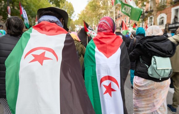 Más de cien iniciativas registradas en el Congreso desde 1977 reflejan el abandono del pueblo saharaui – Público