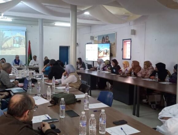 798e838e-b69e-4285-b38d-89f66b18a326 El Ministerio saharaui de Salud Pública celebra una reunión de consulta sobre salud reproductiva