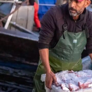 98bed4cf26912095a501f3ea1ce85c09 Le rejet de l’exploitation des richesses du Sahara occidental doit être défendu dans les pays bénéficiaires