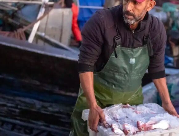 98bed4cf26912095a501f3ea1ce85c09 Le rejet de l’exploitation des richesses du Sahara occidental doit être défendu dans les pays bénéficiaires