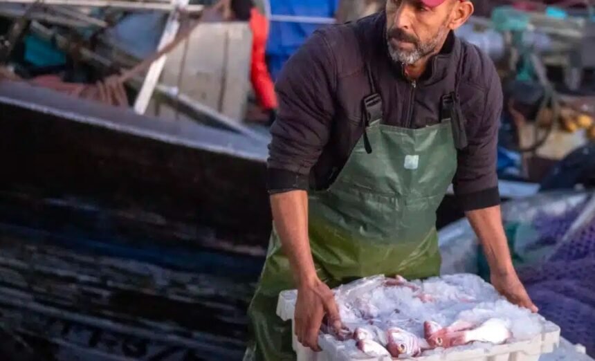 Le rejet de l’exploitation des richesses du Sahara occidental doit être défendu dans les pays bénéficiaires