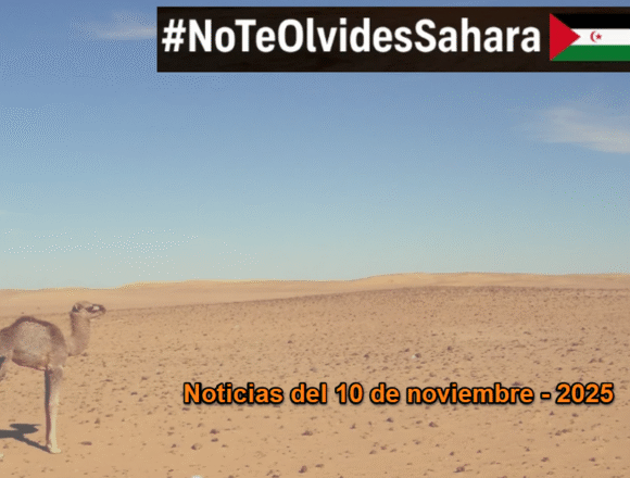 Noticias del SAHARA OCCIDENTAL – 10/11/2025 – La Actualidad Saharaui