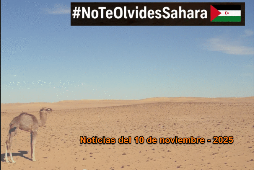 Noticias del SAHARA OCCIDENTAL – 10/11/2025 – La Actualidad Saharaui