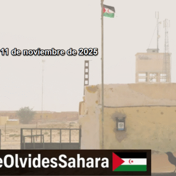 Noticias del SAHARA OCCIDENTAL – 11/11/2025 – La Actualidad Saharaui