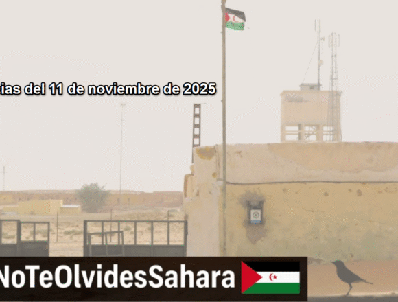 AZSdxcfgdwqwerdfter Noticias del SAHARA OCCIDENTAL – 11/11/2025 – La Actualidad Saharaui