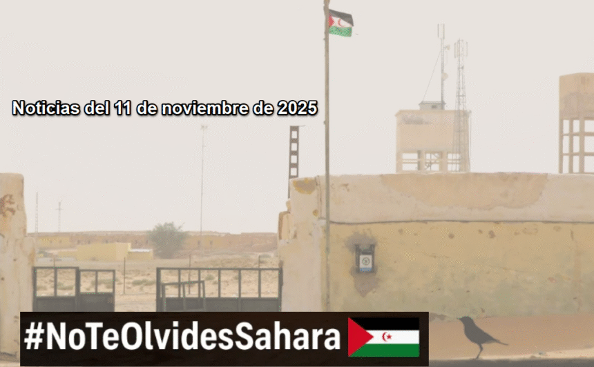 Noticias del SAHARA OCCIDENTAL – 11/11/2025 – La Actualidad Saharaui