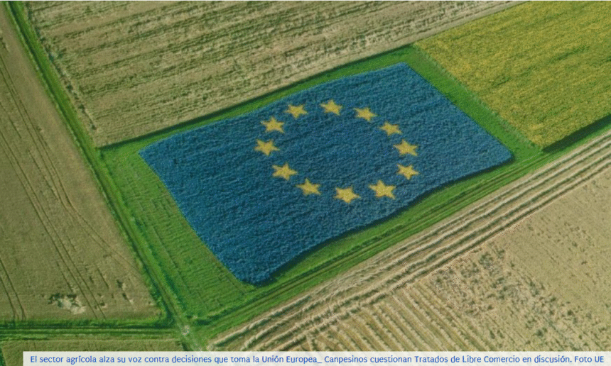 EWRGFREW4RGFHREDFG El campo europeo estalla contra el plan de Bruselas para ocultar el origen saharaui de frutas y hortalizas