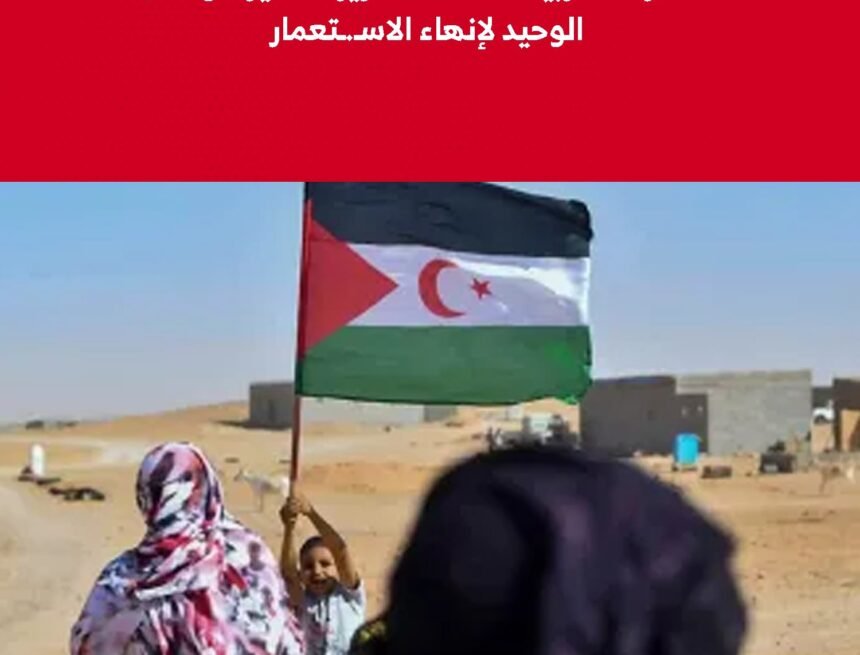 Sáhara Occidental: Un referéndum de autodeterminación es la única solución para acabar con el colonialismo