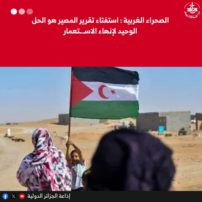 G54kCgzXwAALKEF Sáhara Occidental: Un referéndum de autodeterminación es la única solución para acabar con el colonialismo